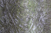 Newbridge On Wye fibreglass roof work